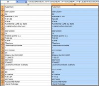 Capture Excel.jpg